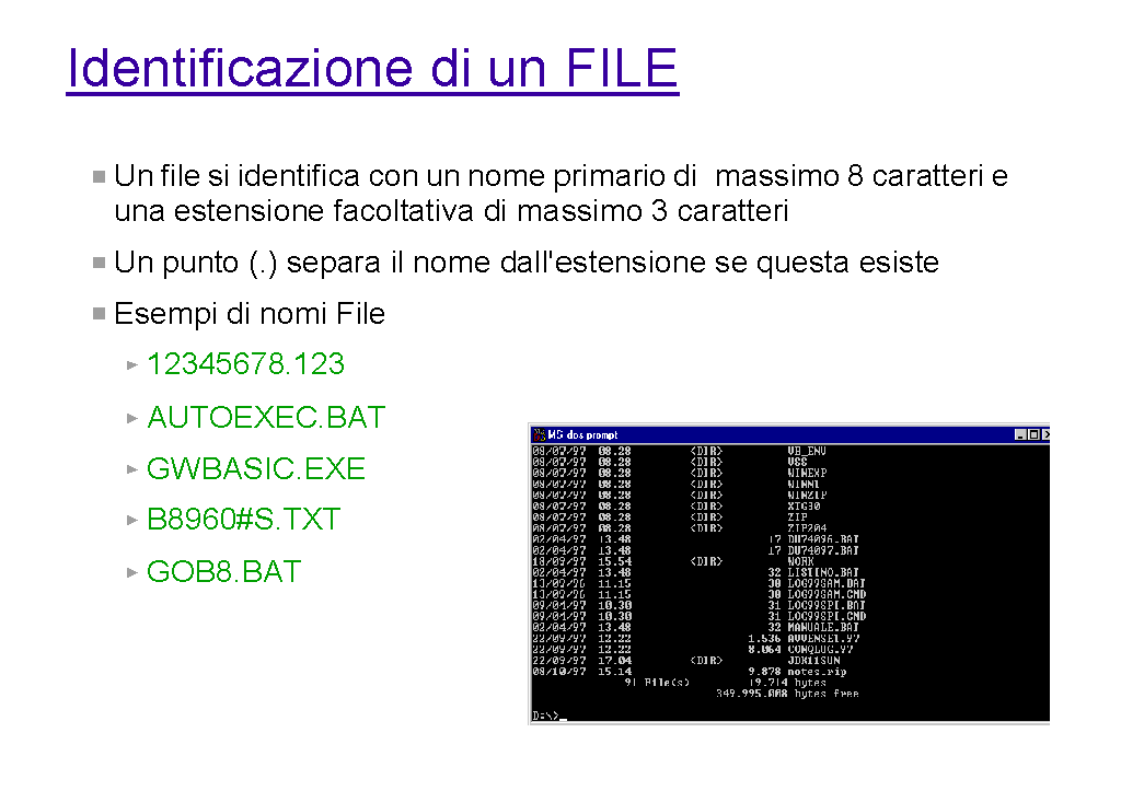 Immagine pagina