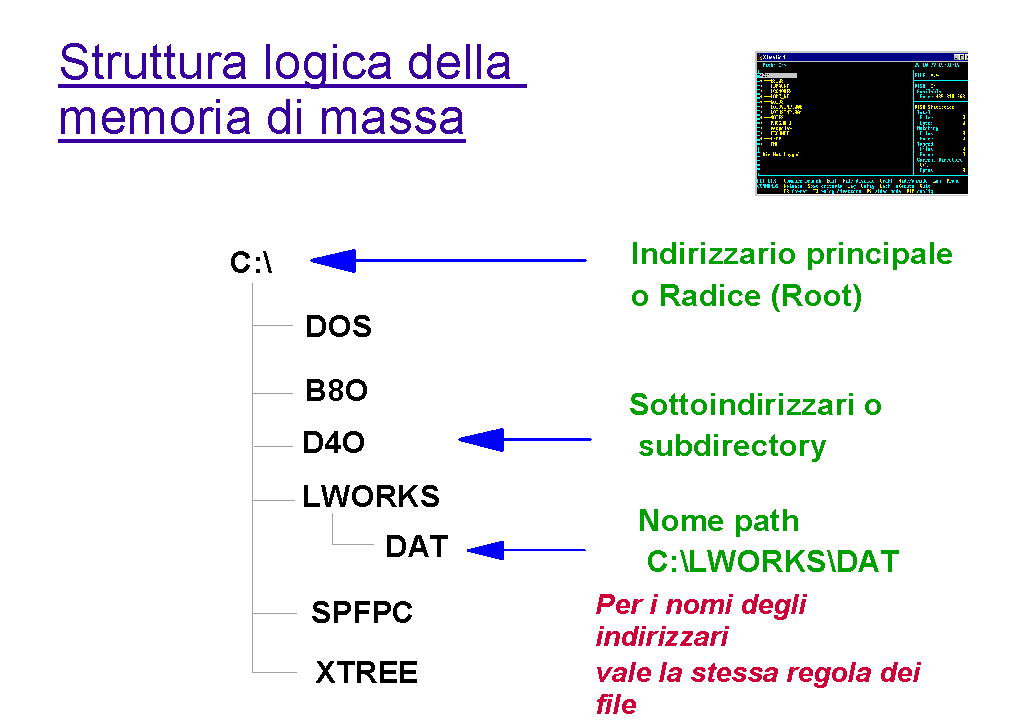 Immagine pagina